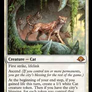 Ocelot Pride | Proxy