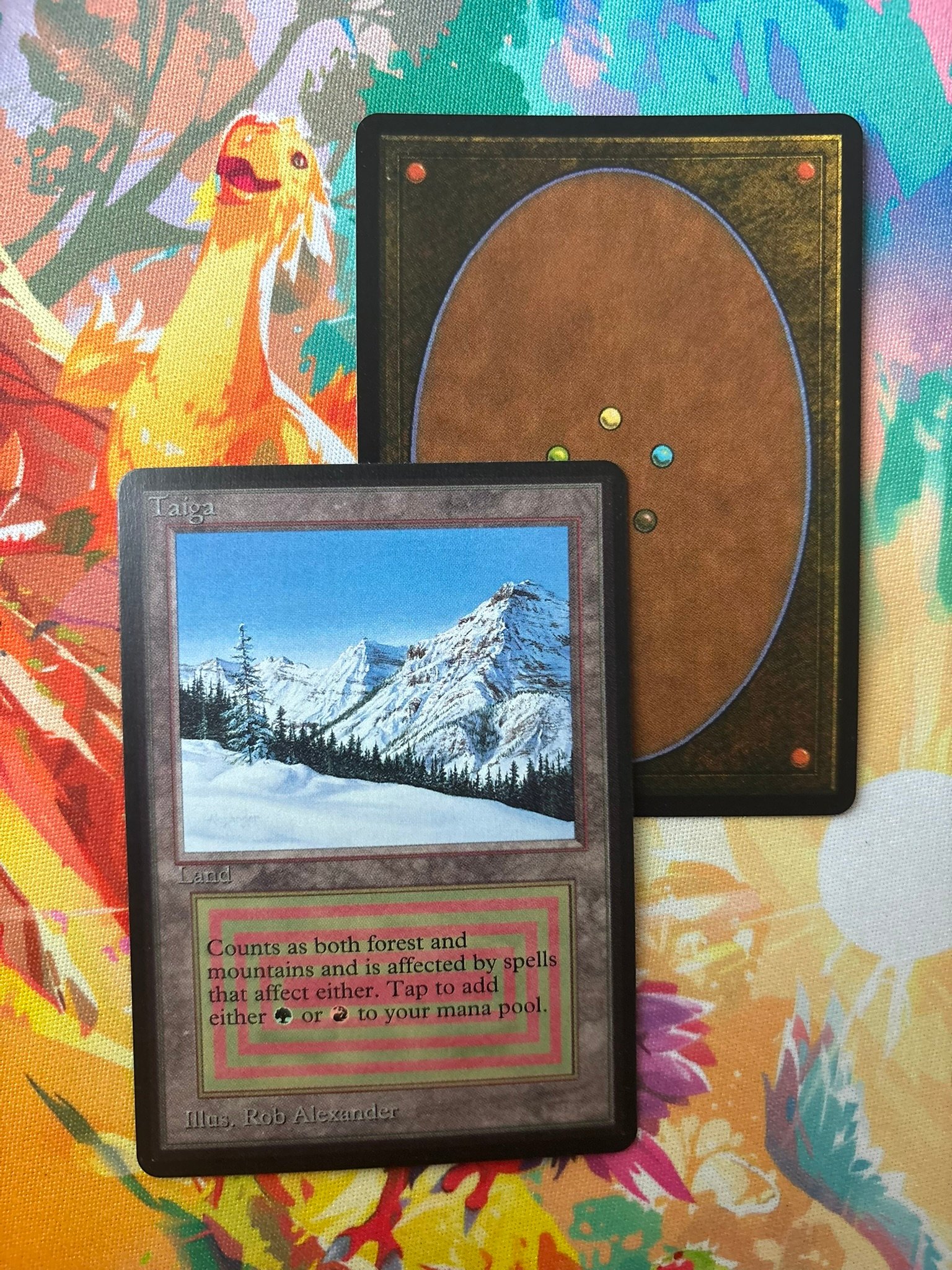Taiga