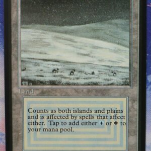 Tundra Beta