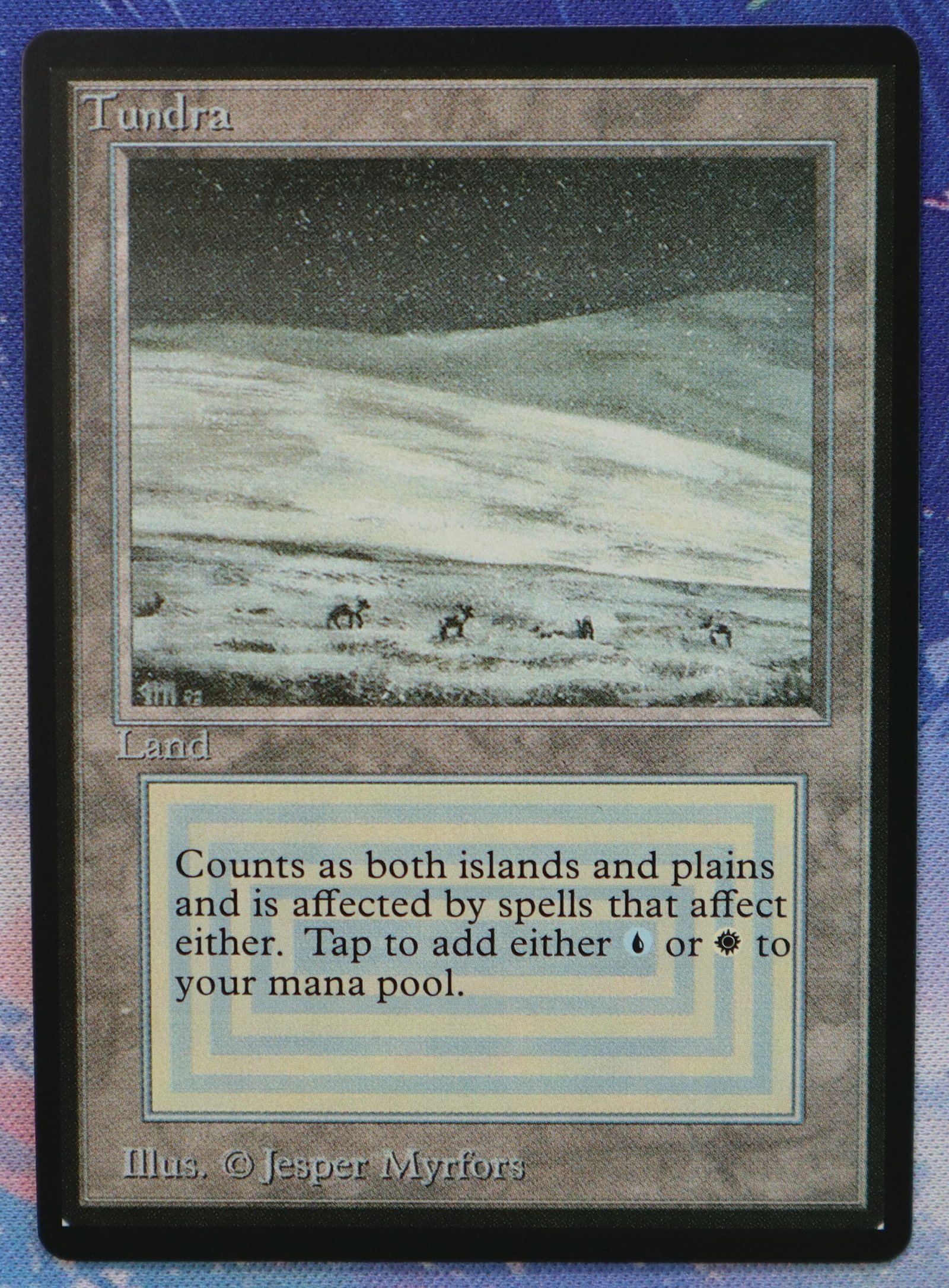Tundra Beta