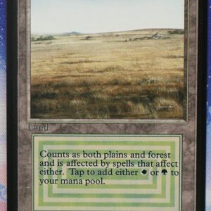Savannah Beta