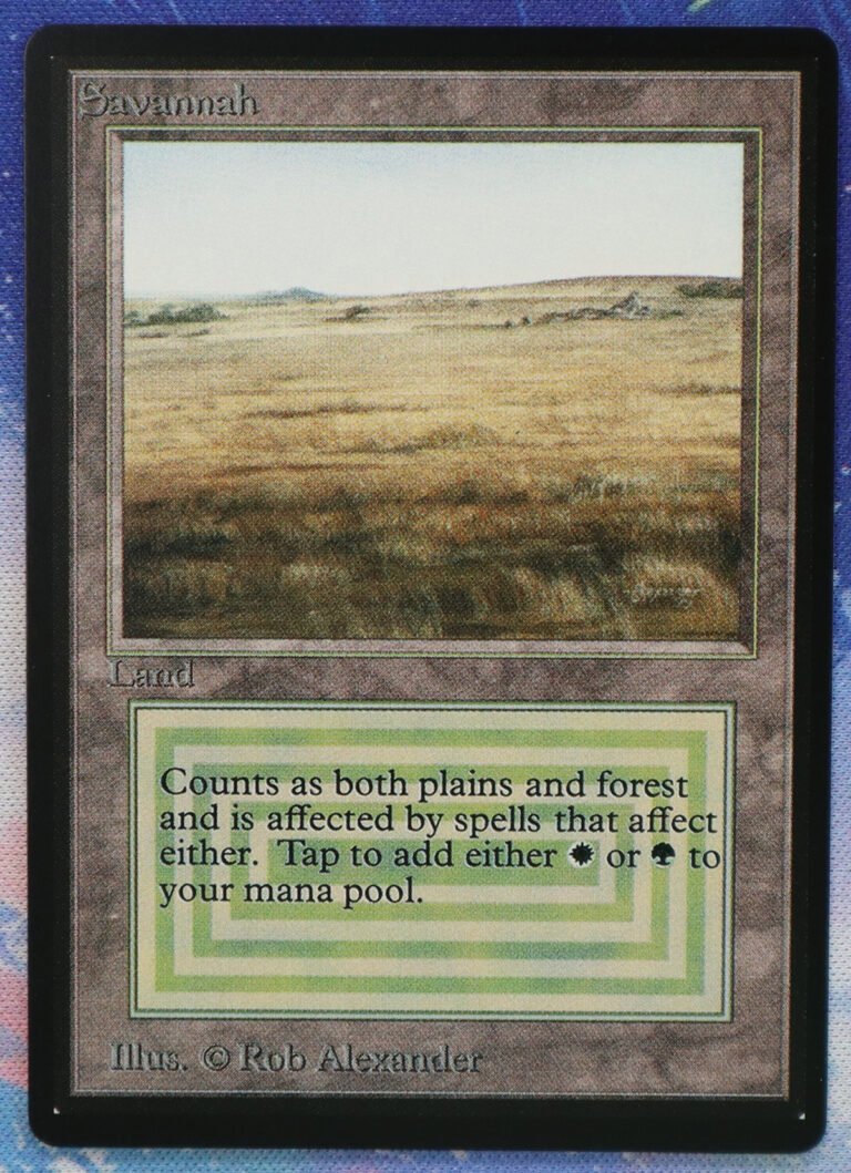 Savannah Beta